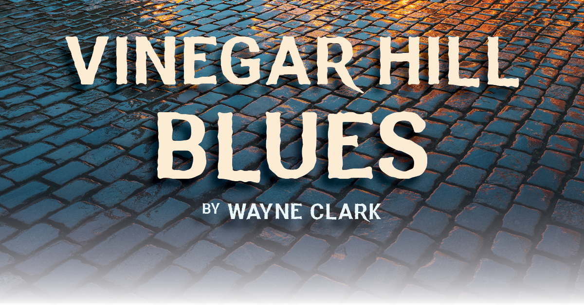 Image text: Vinegar Hill Blues by Wayne Clark. Photo of cobblestones in lamp light.
